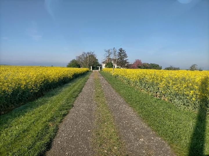 Studio " Tournesol " Au Coeur Du Berry Les Bordes Dış mekan fotoğraf